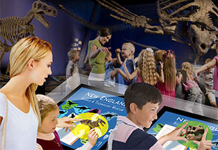 Interactive Exhibit