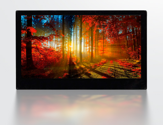 Touch Monitor 65"