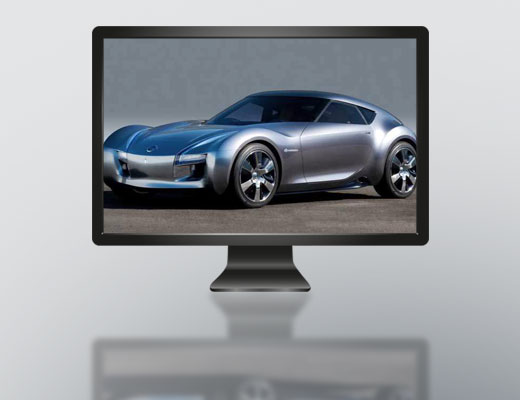 Touch Monitor 17.3"