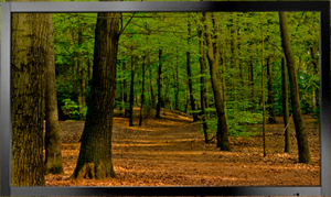 Touch Monitor Touch Screen Monitor